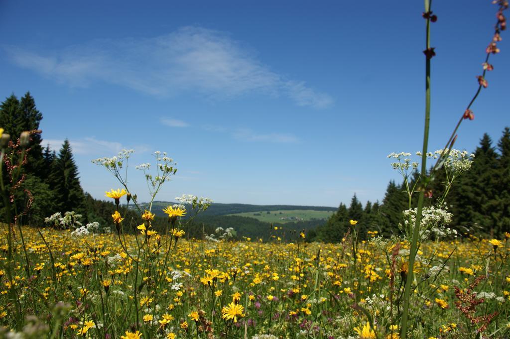 Werrapark Frankenblick